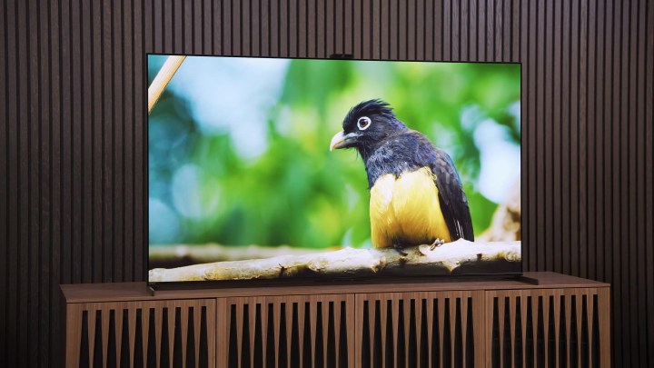 sony bravia a95l qd oled tv review