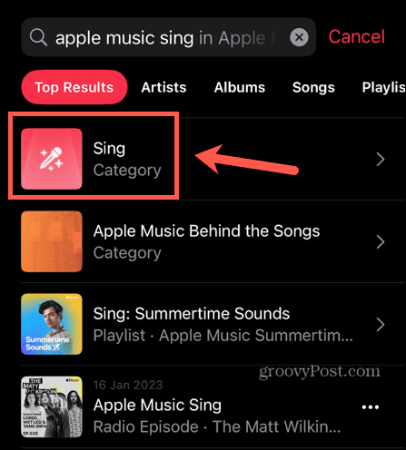 apple music sing category