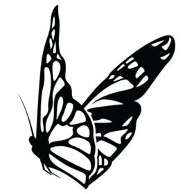 south-coast-social-digital-agency